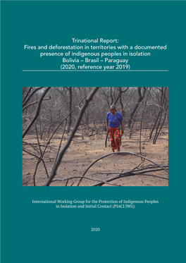 Fires and Deforestation in Territories with a Documented Presence of Indigenous Peoples in Isolation Bolivia – Brasil – Paraguay (2020, Reference Year 2019)