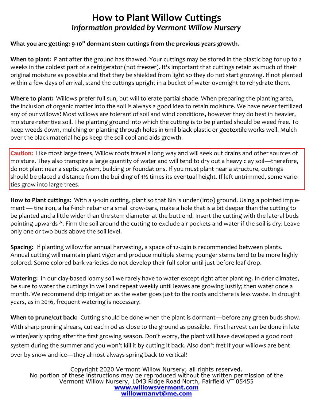 How to Plant Willow Cuttings Information Provided by Vermont Willow Nursery