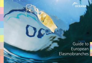 Guide to Elasmobranches European
