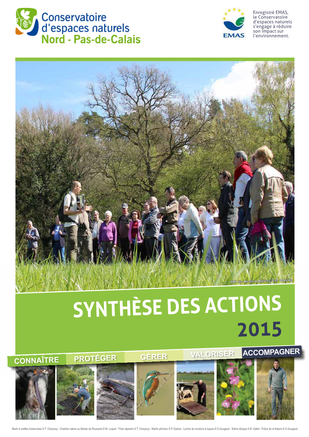 Synthèse Des Actions 2015