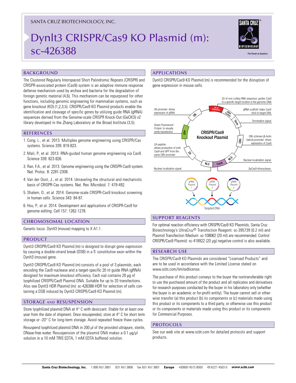 Dynlt3 CRISPR/Cas9 KO Plasmid (M): Sc-426388