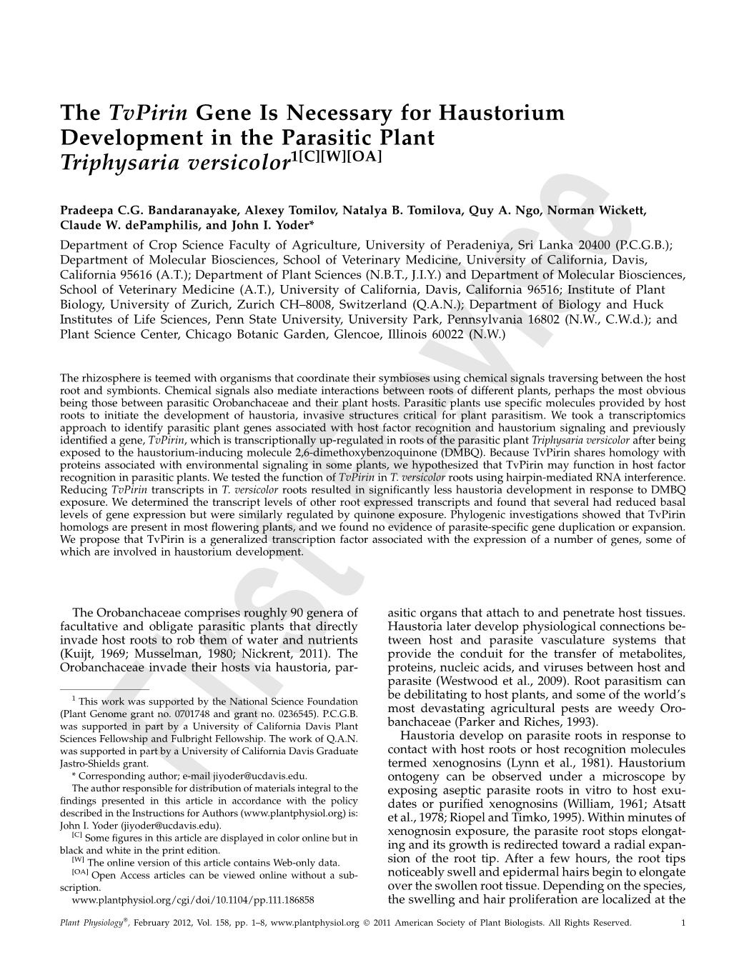 The Tvpirin Gene Is Necessary for Haustorium Development in the Parasitic Plant Triphysaria Versicolor1[C][W][OA]