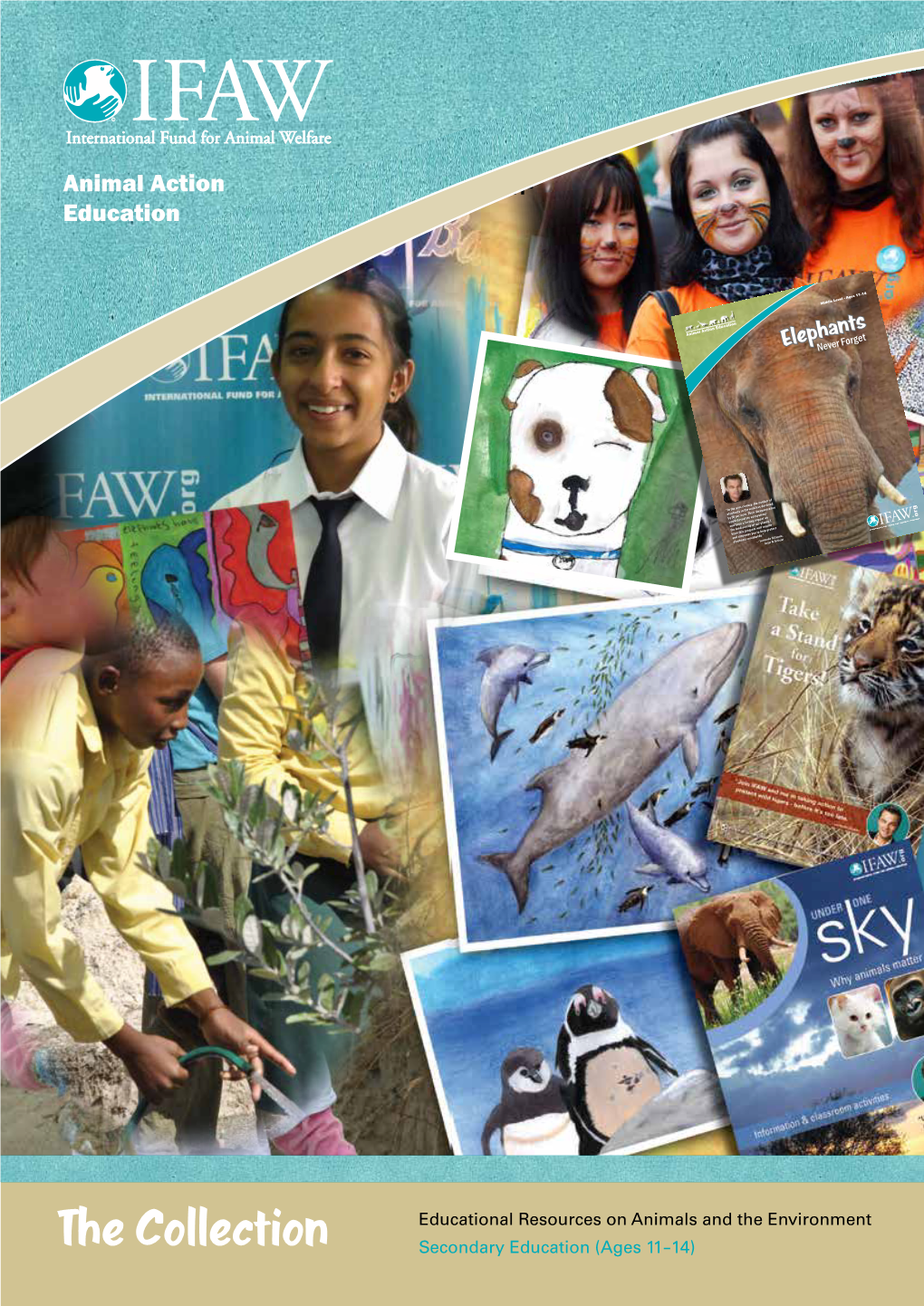 Animal Action Education Animal Action -The Collection- Education