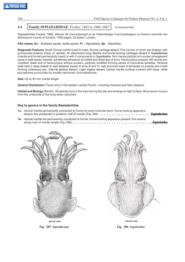 Key to Sepiadariidae Genera Sepiadarium