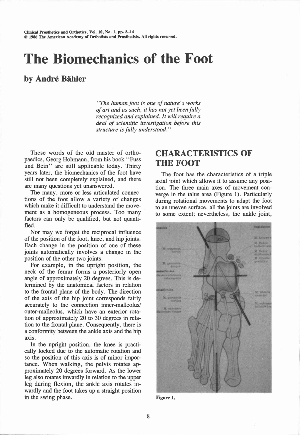 The Biomechanics of the Foot by André Bähler