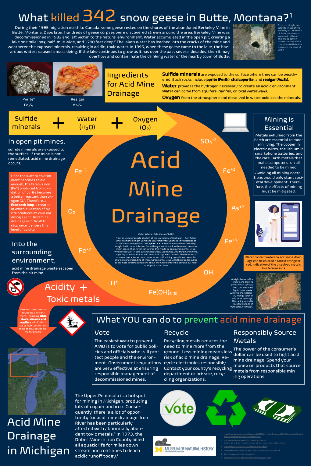 What Killed 342 Snow Geese in Butte, Montana?1 Acid Mine Drainage In