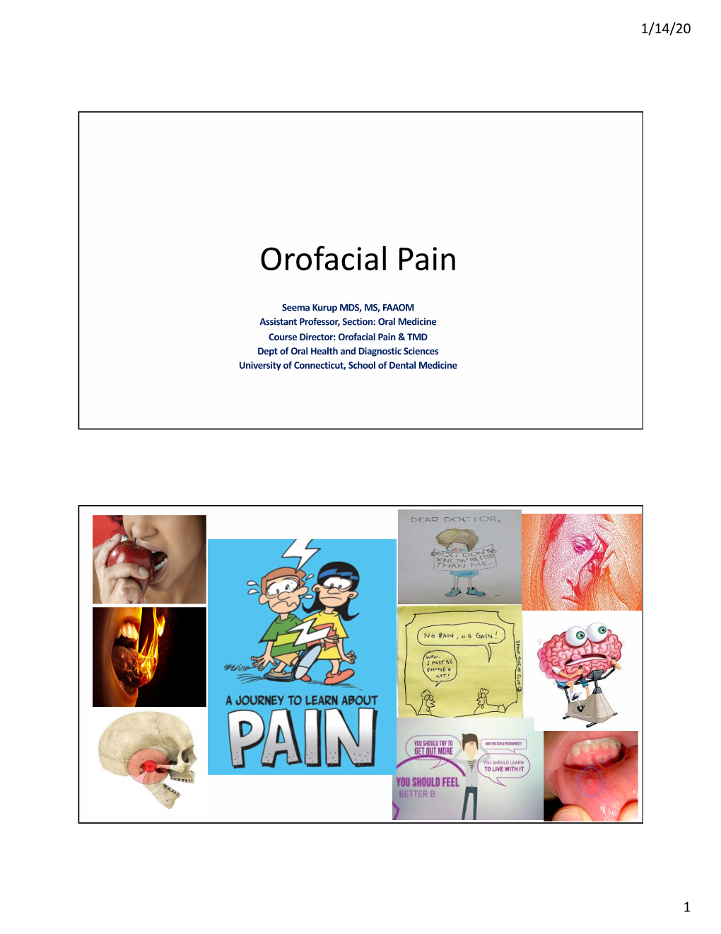 Orofacial Pain.Pdf