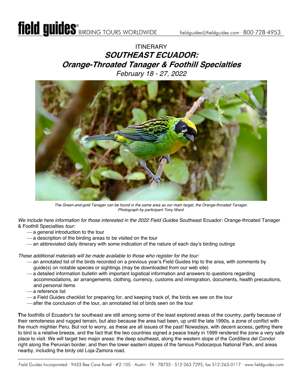 SOUTHEAST ECUADOR: Orange-Throated Tanager & Foothill Specialties