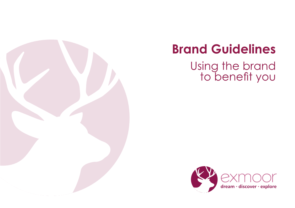 Brand Guidelines Using the Brand to Benefit You a Visual Experience