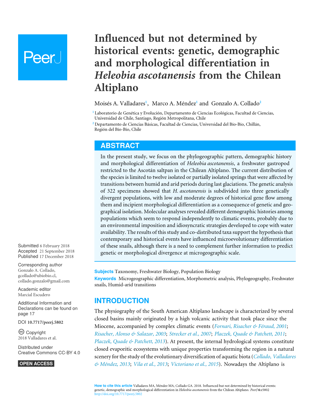 Genetic, Demographic and Morphological Differentiation in Heleobia Ascotanensis from the Chilean Altiplano