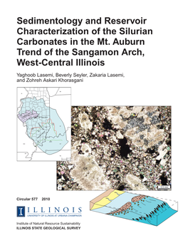 Sedimentology and Reservoir Characterization of the Silurian Carbonates in the Mt
