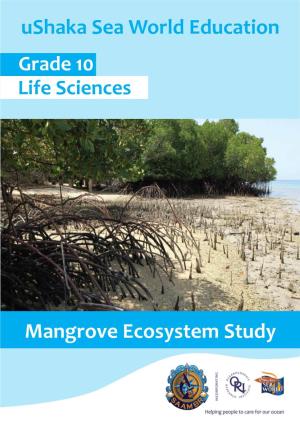 Ushaka Sea World Education Mangrove Ecosystem Study