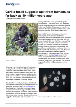 Gorilla Fossil Suggests Split from Humans As Far Back As 10 Million Years Ago 11 February 2016, by Bob Yirka