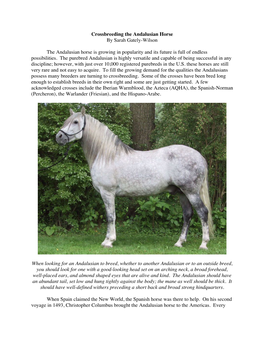 Crossbreeding the Andalusian Horse in Short