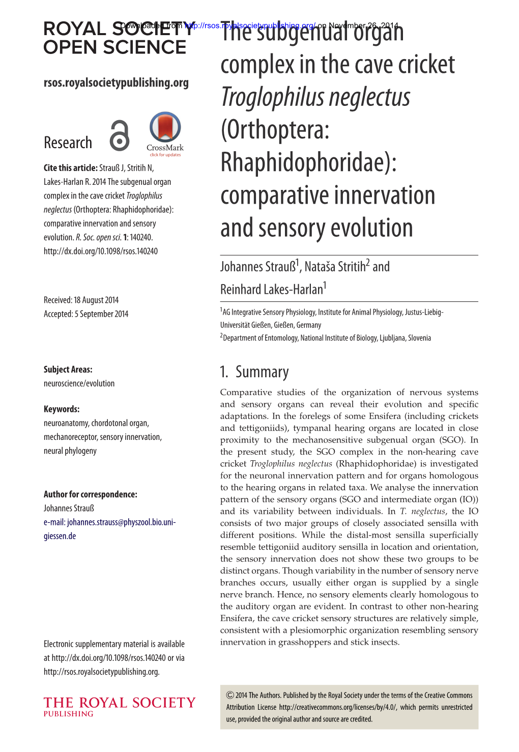 (Orthoptera: Rhaphidophoridae): Comparative Innervation Comparative Innervation and Sensory Evolution