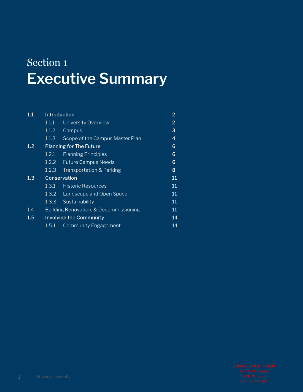 Executive Summary