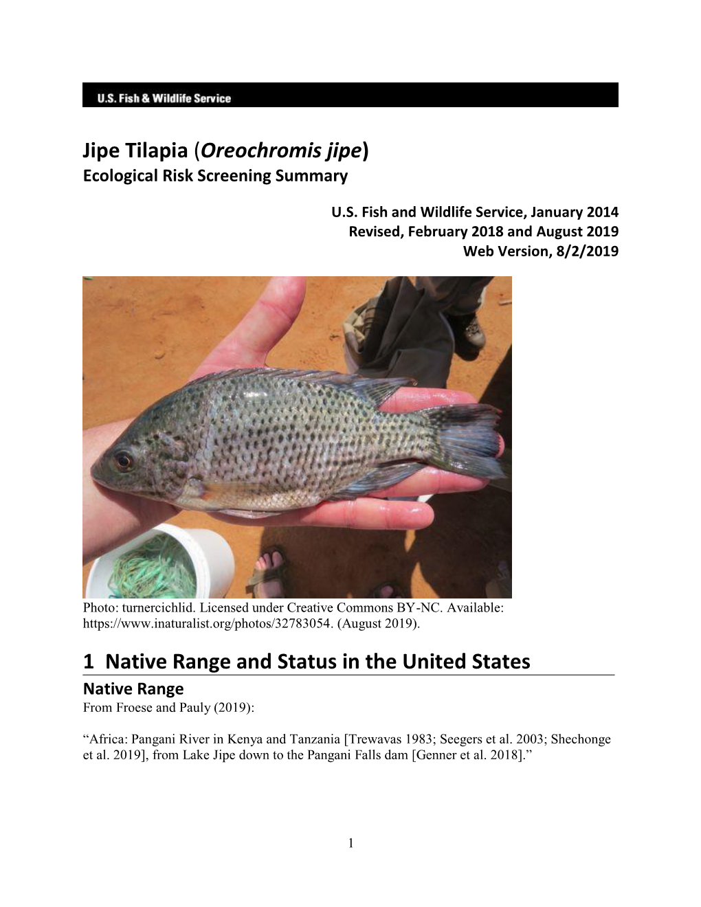 Oreochromis Jipe) Ecological Risk Screening Summary
