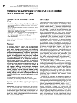Molecular Requirements for Doxorubicin-Mediated Death in Murine Oocytes
