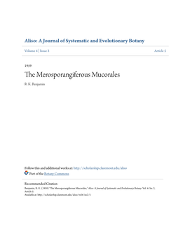 The Merosporangiferous Mucorales