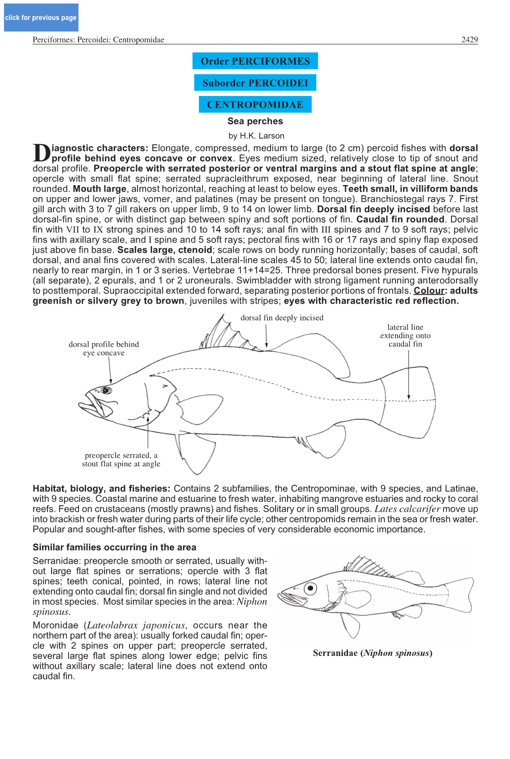 Order PERCIFORMES: PERCOIDEI