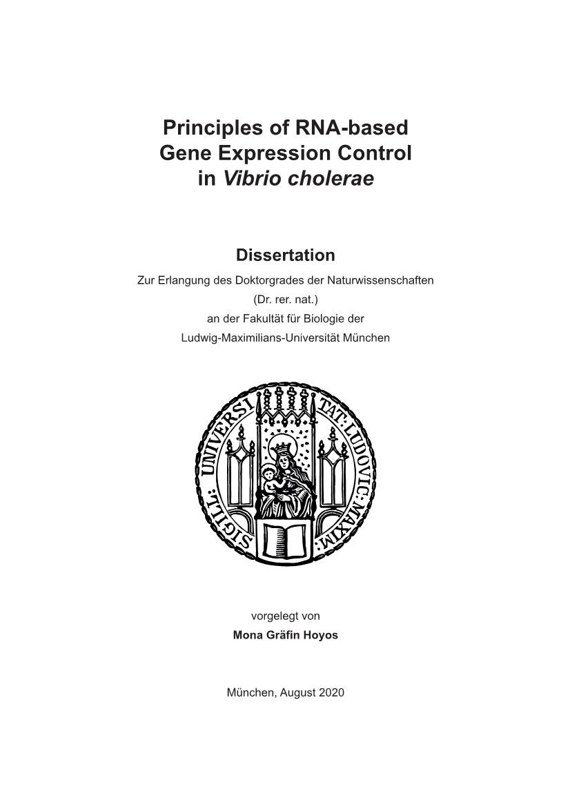 Principles of RNA-Based Gene Expression Control in Vibrio Cholerae