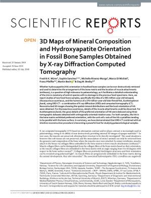 3D Maps of Mineral Composition and Hydroxyapatite Orientation in Fossil Bone Samples Obtained by X-Ray Diffraction Computed Tomo