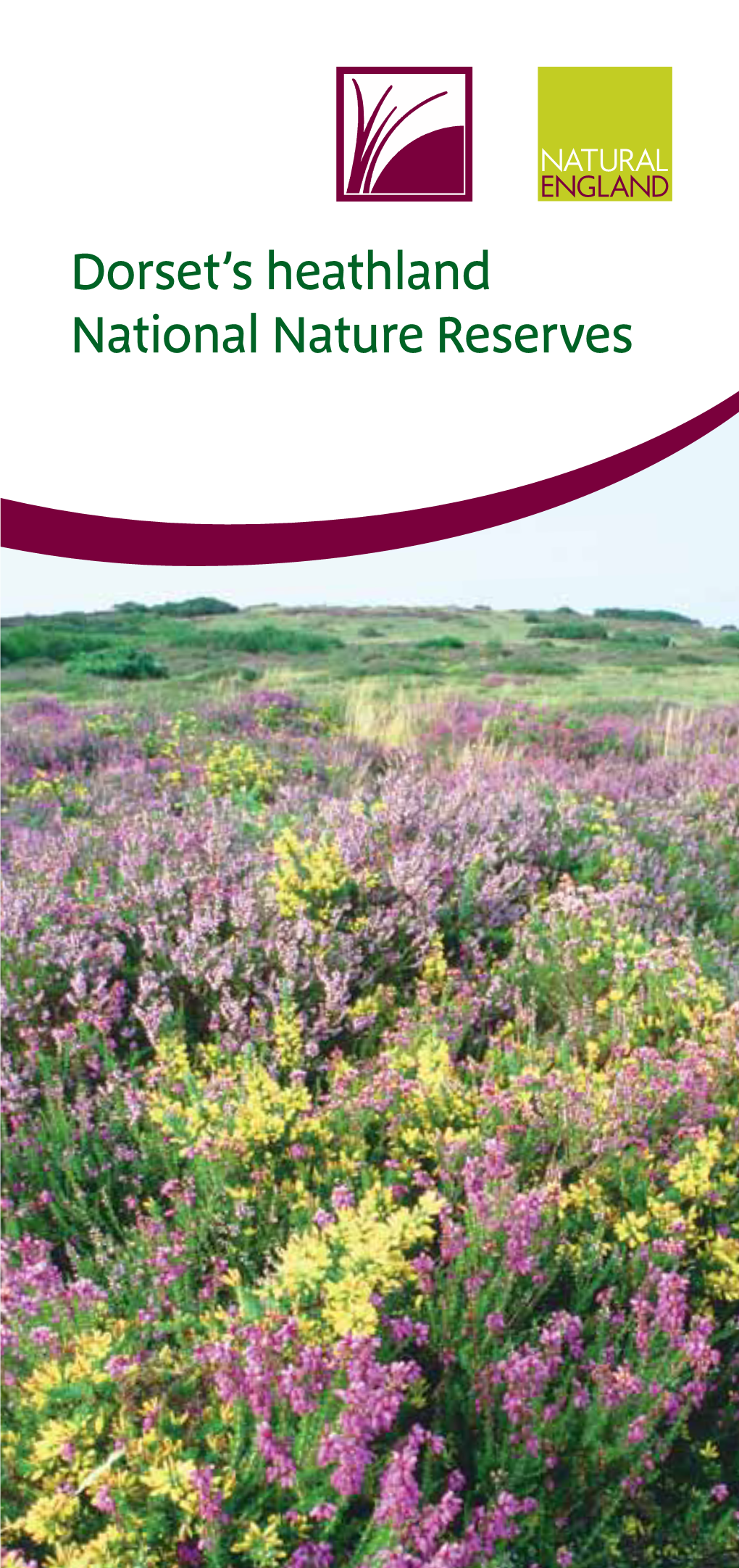 Dorset's Heathland National Nature Reserves