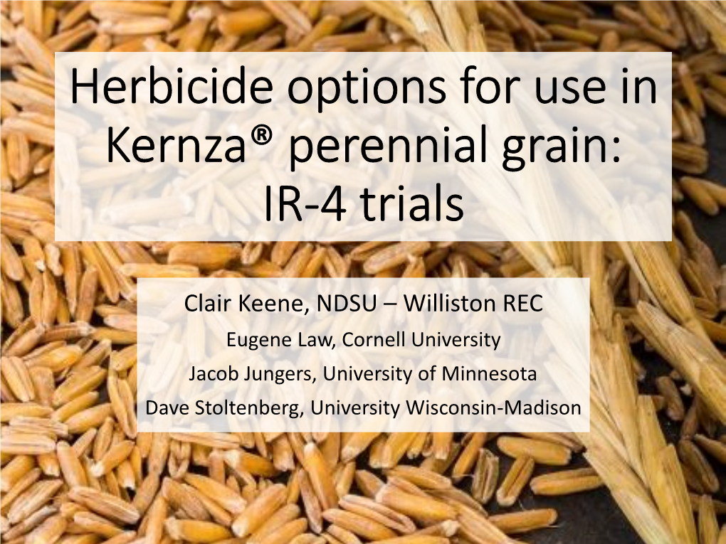 Herbicide Options for Use in Kernza® Perennial Grain: IR-4 Trials