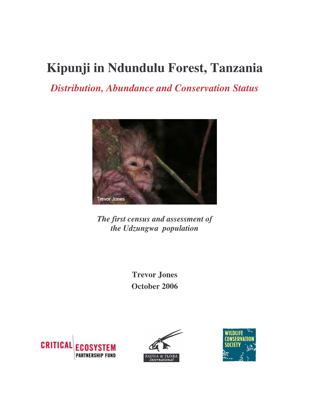 Kipunji in Ndundulu Forest, Tanzania