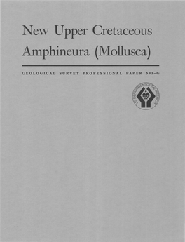 New Upper Cretaceous Amphineura (Mollusca)