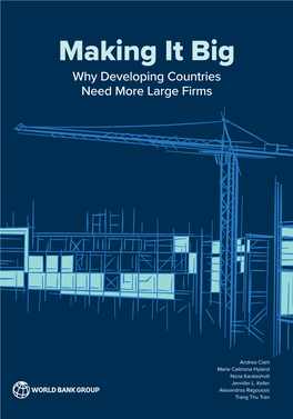 Making It Big: Why Developing Countries Need More Large Firms