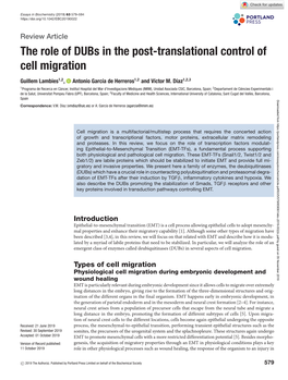 The Role of Dubs in the Post-Translational Control of Cell Migration