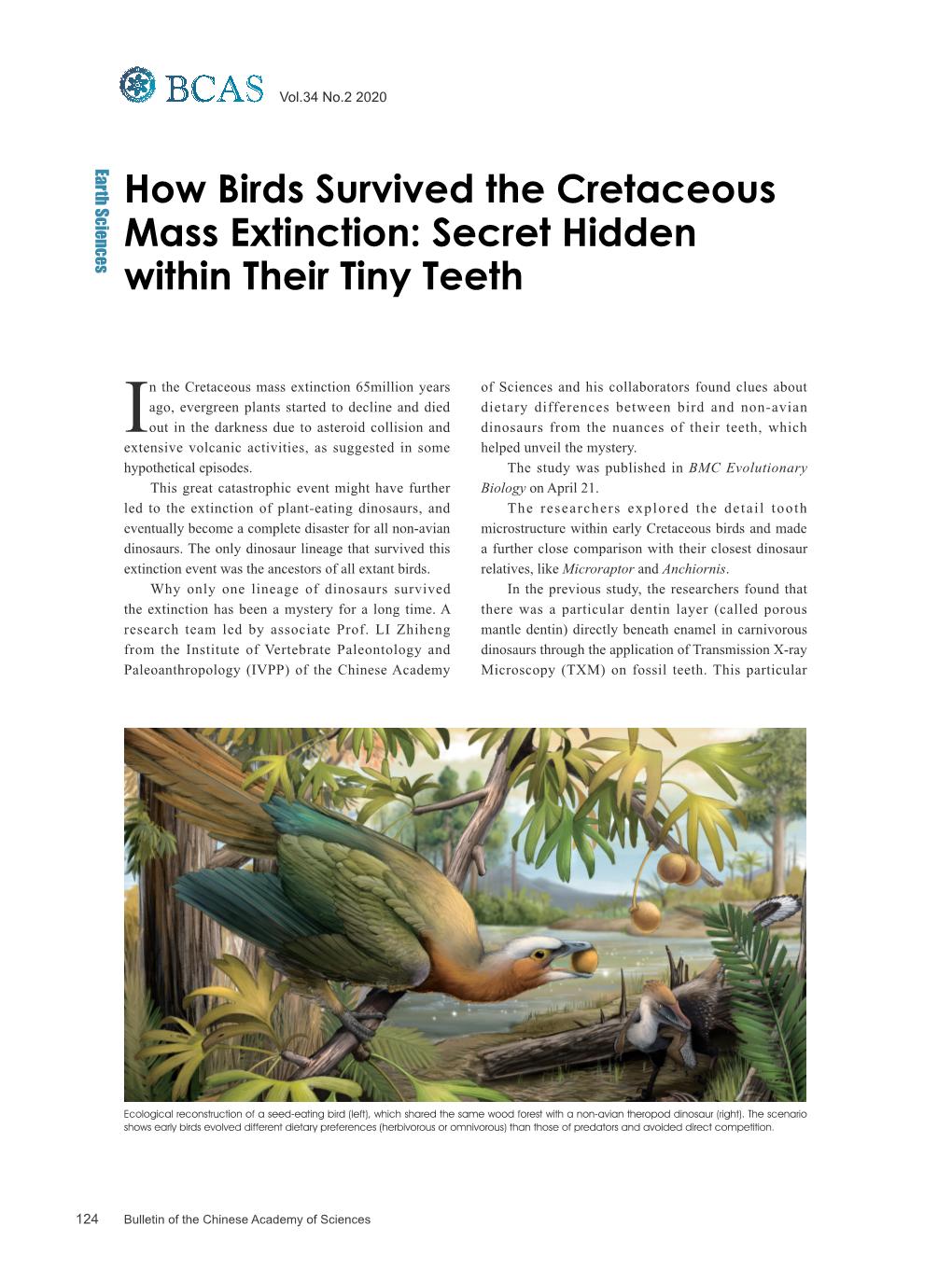 How Birds Survived the Cretaceous Mass Extinction: Secret Hidden Within Their Tiny Teeth