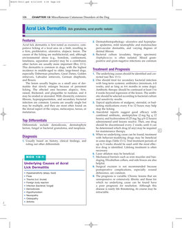 Acral Lick Dermatitis (Lick Granuloma, Acral Pruritic Nodule)