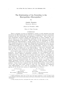 The Relationships of the Potoroidae to the Macropodidae (Marsupialia) M