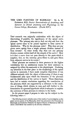 By A, M. PATERSON, M.D., Senior Demonstrator of Anatomy, and Lecturer on Dental Anatomy and Physiology in the Owens College, Manchester