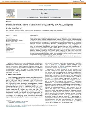 Molecular Mechanisms of Antiseizure Drug Activity at GABAA Receptors
