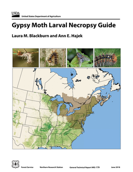 Gypsy Moth Larval Necropsy Guide
