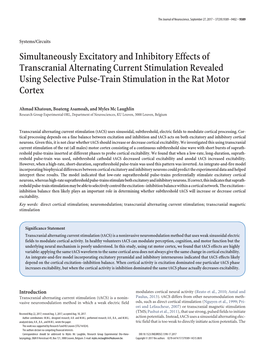 Simultaneously Excitatory and Inhibitory