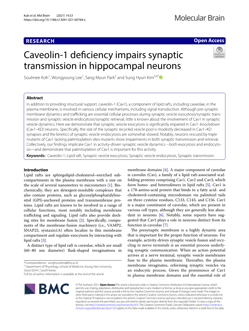 Caveolin-1 Deficiency Impairs Synaptic Transmission in Hippocampal