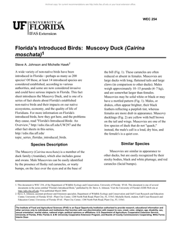 Florida's Introduced Birds: Muscovy Duck (Cairina Moschata)1