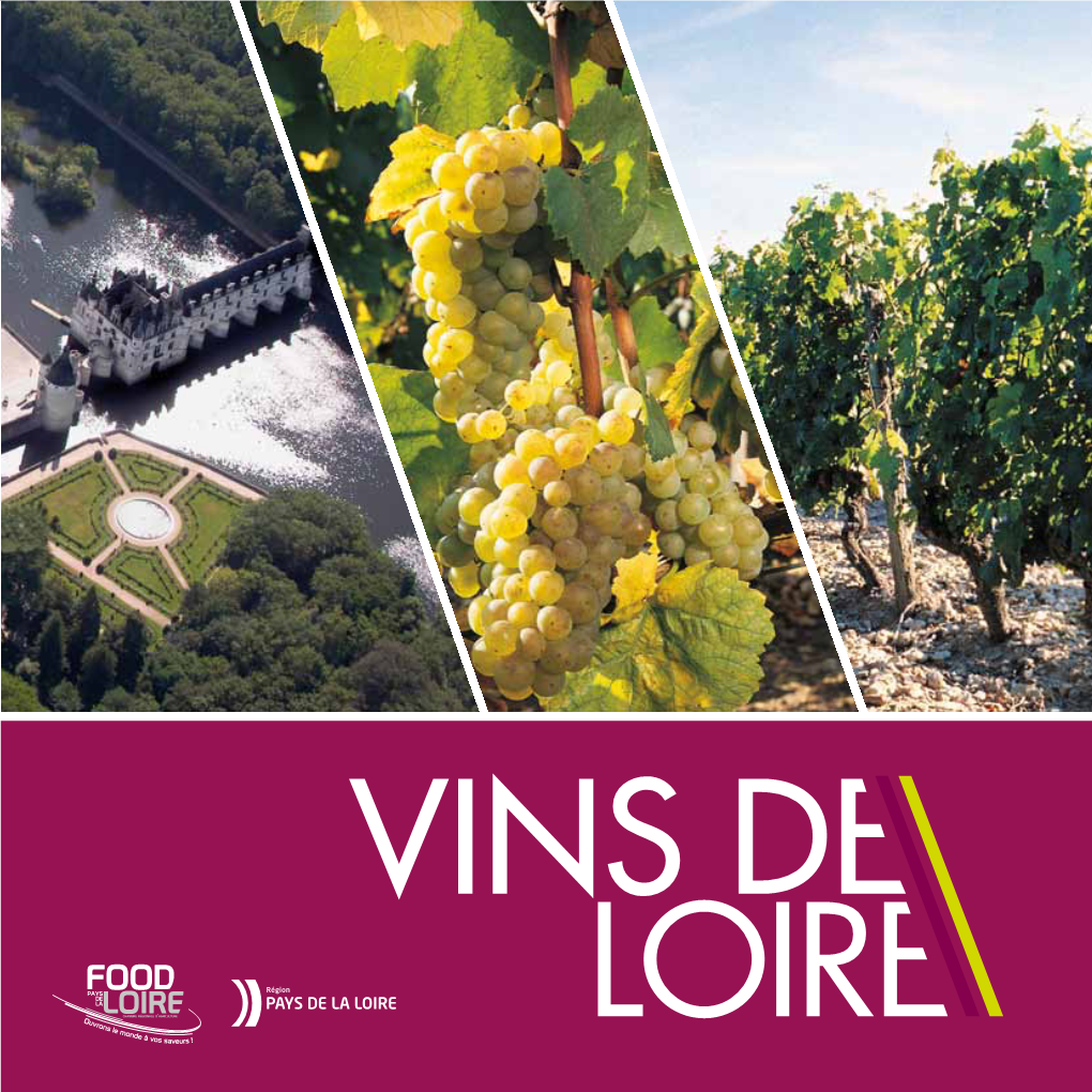 L'histoire Des Vins Du Val De Loire, France