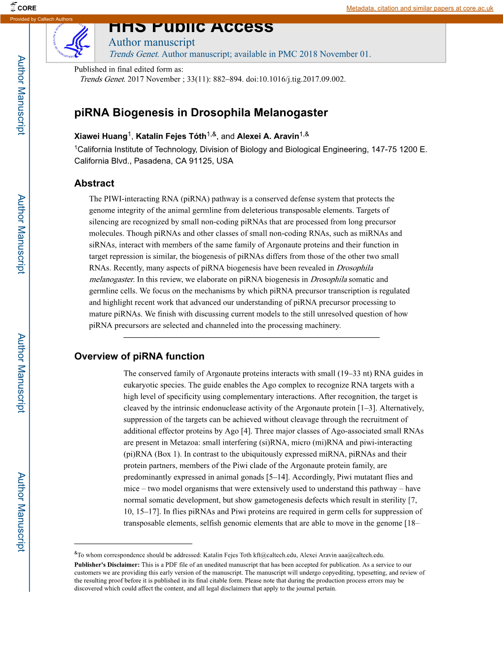 Pirna Biogenesis in Drosophila Melanogaster