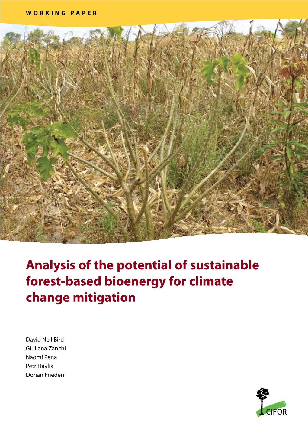 Analysis of the Potential of Sustainable Forest-Based Bioenergy for Climate Change Mitigation