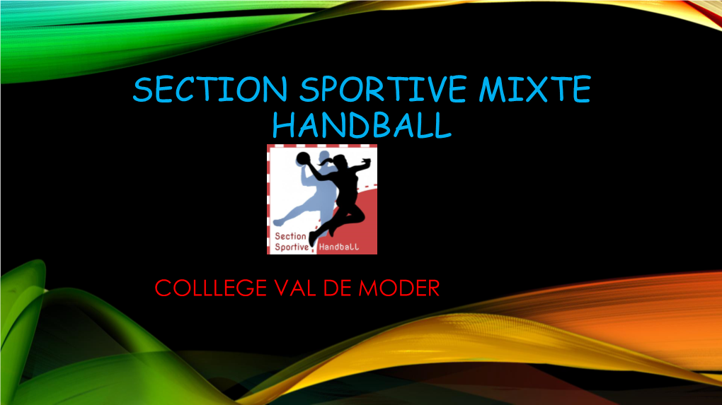 Section Sportive Mixte Handball