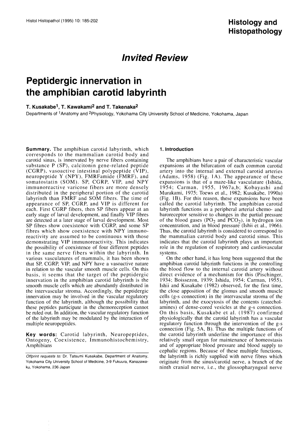 Peptidergic Innervation in the Amphibian Carotid Labyrinth