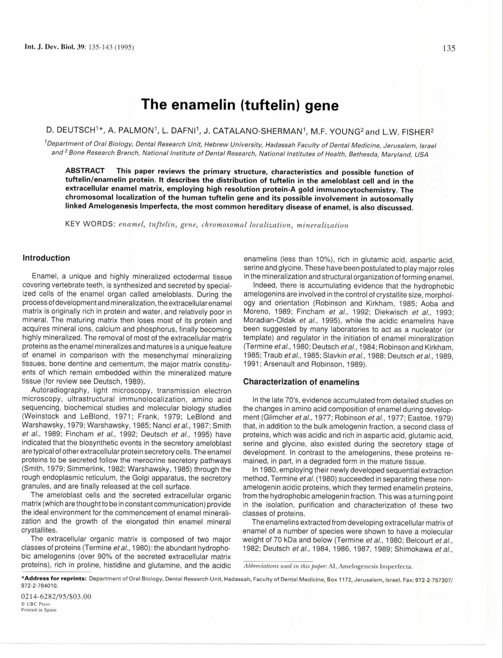 The Enamelin (Tuftelin) Gene