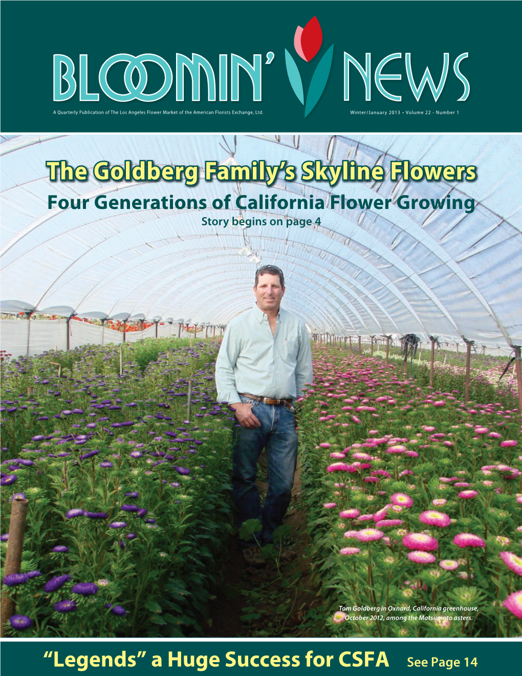 The Goldberg Family's Skyline Flowers