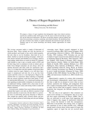 A Theory of Regret Regulation 1.0