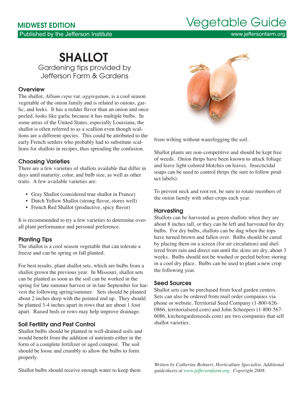 SHALLOT Vegetable Guide